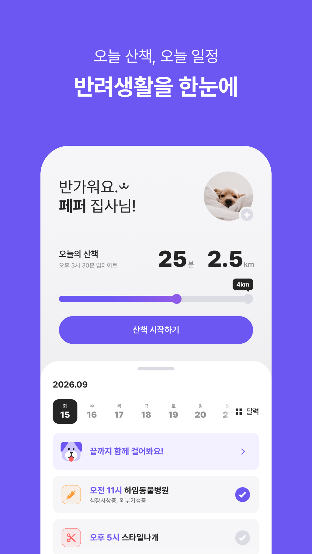 홈 화면에서 오늘의 산책과 일정을 확인하는 모습