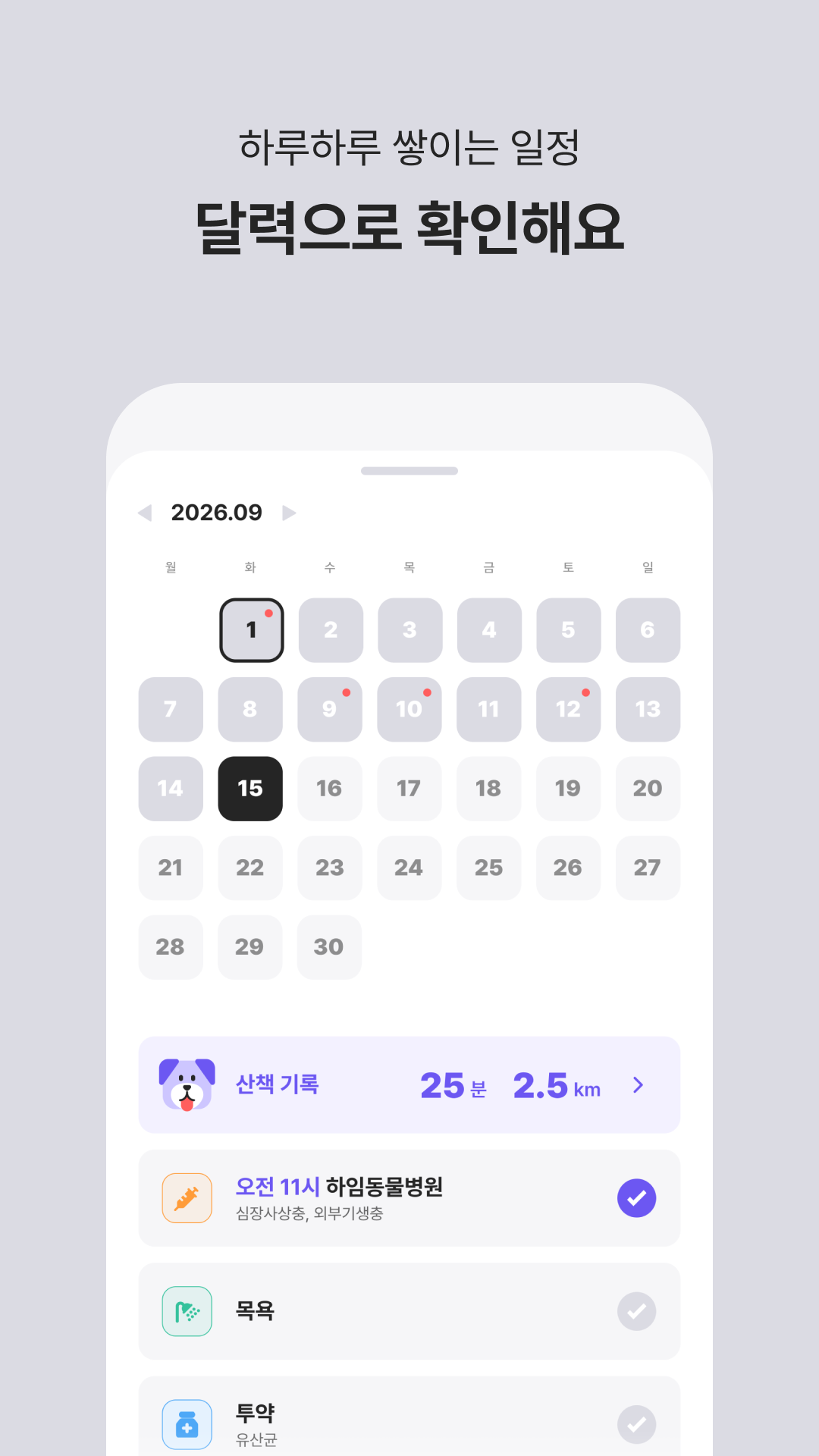 달력에서 산책 기록과 일정을 확인하는 화면